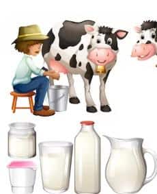 ਪੌਸ਼ਟਿਕ ਤੱਤਾਂ ਦਾ ਖਜ਼ਾਨਾ ਗਾਂ ਦਾ ਦੁੱਧ, ਸਿਹਤ ਲਈ ਕਿਉਂ ਮੰਨਿਆ ਜਾਂਦਾ ਵਰਦਾਨ