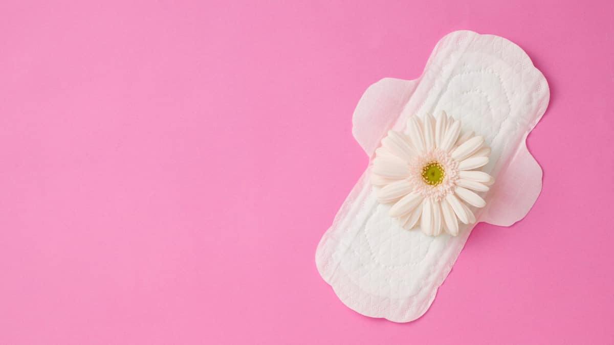 Women’s Winter Wellness: How The Season, Diet And Immunity Affect Hormones And Reproductive Health