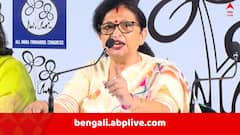 শুনানির আগে কমিশনের কাছে শেষ মুহূর্তের অনুরোধ চন্দ্রিমার, কী কী বিষয়ে ভোটারদের নোটিস না দেওয়ার দাবি তৃণমূলের ? রইল বিস্তারিত