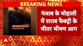 Punjab Fire Accident News: पंजाब की शराब फैक्ट्री के अंदर लगी भयंकर आग | Breaking News