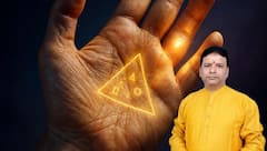 మీ అరచేతిలో ధన త్రిభుజం, సూర్య పర్వతం ఉందేమో చూసుకోండి! వాటి వెనుకున్న రహస్యం ఇదే!