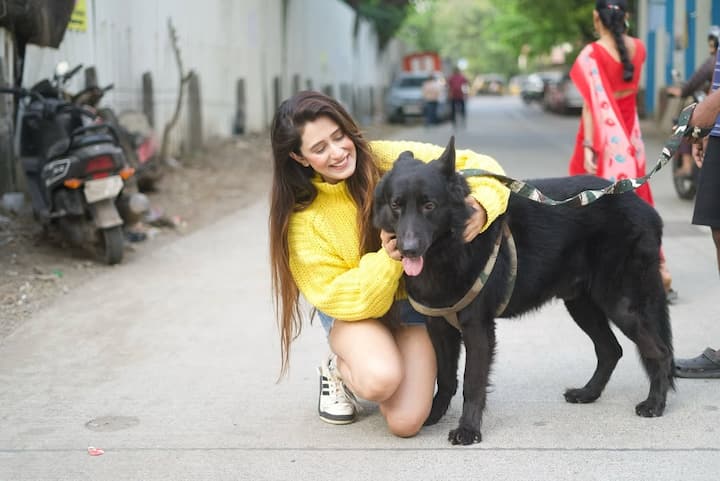 स्वाति शर्मा ने एक बार फिर से नए कैरेक्टर के साथ टीवी पर वापसी कर ली है. आखिरी बार एक्ट्रेस को स्टार प्लस के पॉपुलर शो में देखा गया था.