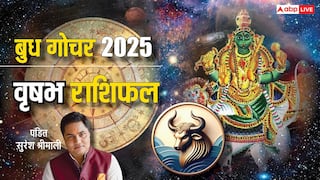 Budh Gochar 2025: 29 दिसंबर को बुध का गोचर, वृषभ राशि वाले बिजनेसमैन को मिलेगा खास लाभ