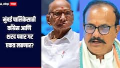 काँग्रेस नेत्यांनी घेतली शरद पवारांची भेट, मुंबई पालिकेसाठी एकत्र लढणार? काँग्रेसला दिला प्रस्ताव 