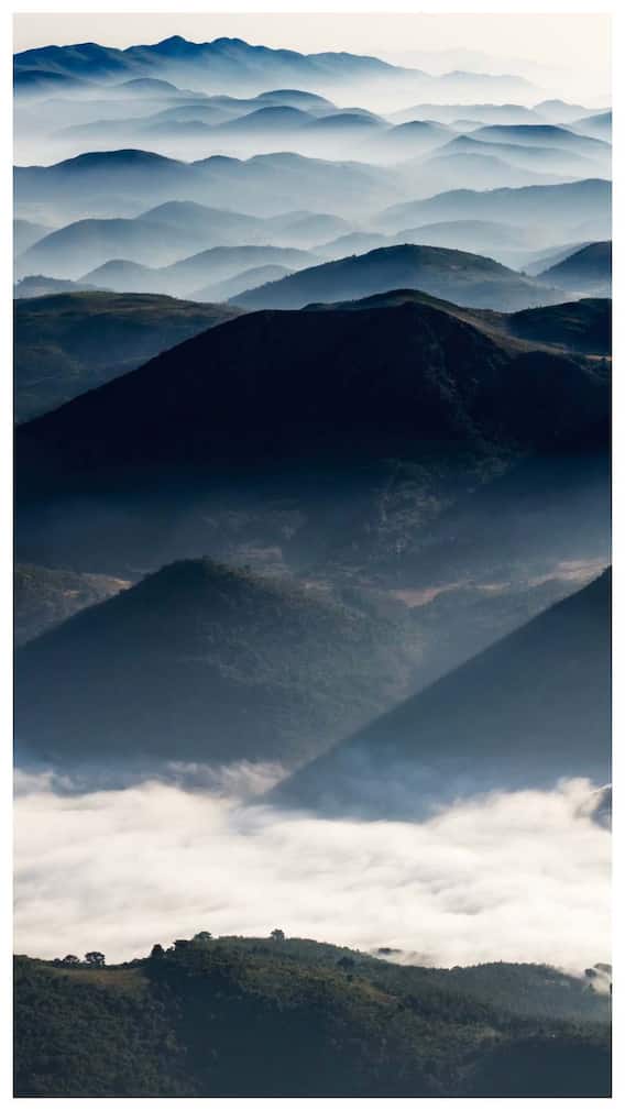 వనజంగికి వెళ్లొస్తే జీవితంలో మర్చిపోలేరు. ఎలా వెళ్లాలో తెలుసా?