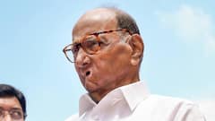 महाराष्ट्र नगर निगम चुनाव: राज ठाकरे से संपर्क में शरद पवार की पार्टी, गठबंधन पर दिया बड़ा बयान