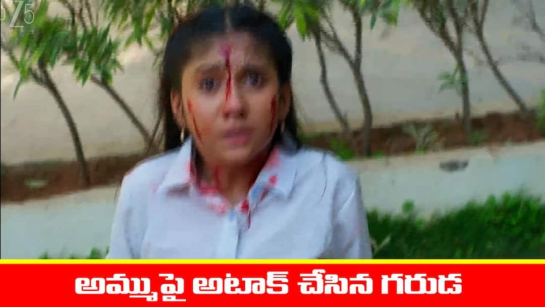 nindu Noorella Saavasam serial today episode December 23rd written update Nindu Noorella Saavasam Serial Today December 23rd: ‘నిండు నూరేళ్ల సావాసం’ సీరియల్‌: అమ్ము మీద అటాక్‌ చేసిన గరుడ – అయోమయంలో భాగీ