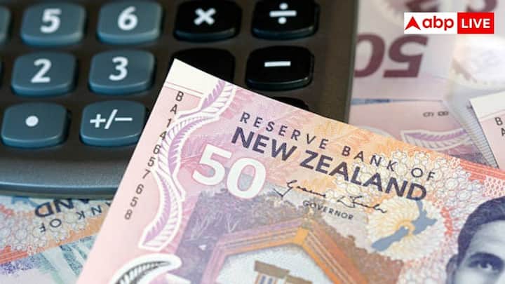 मौजूदा रेट पर ₹10000 लगभग 191.65 न्यूजीलैंड डॉलर के बराबर होते हैं. आपको बता दें कि यह रकम न्यूजीलैंड में कुछ दिनों के किराने के समान, लोकल ट्रांसपोर्ट या फिर एक सामान्य होटल में रहने के लिए काफी हो सकती है. लेकिन लग्जरी खर्चों के लिए बिल्कुल नहीं.