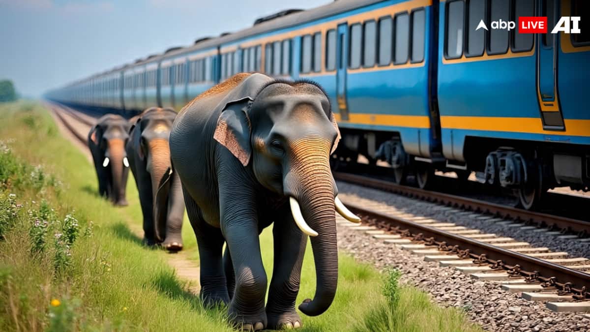 असम में ट्रैक पर 7 हाथियों की मौत के बाद रेलवे का अहम फैसला, AI-आधारित सिस्टम की मदद से उठाया बड़ा कदम