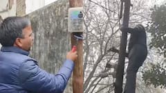 हरिद्वार में कांग्रेस विधायक ने काटी बिजली अधिकारियों के घर की लाइट, सीढ़ियों पर चढ़कर की बत्ती गुल