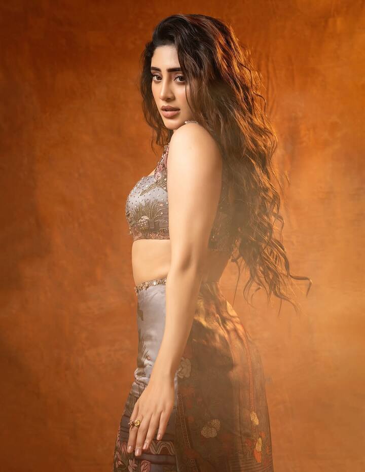 शिवांगी ने बताया कि वो मुंबई छोड़कर नहीं जाना चाहती थीं.उन्होंने अपनी मम्मी से भी कहा था कि नहीं रुकते हैं. लेकिन, उनकी मां को समझ नहीं आ रहा था कि क्या करें.
