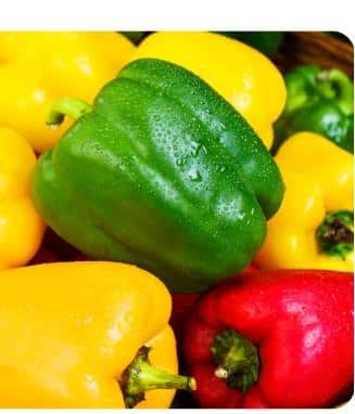 ਹਰੀ, ਲਾਲ ਤੇ ਪੀਲੀ ਸ਼ਿਮਲਾ ਮਿਰਚ ਦੇ ਫਾਇਦੇ: ਰੰਗਾਂ ਨਾਲ ਭਰਪੂਰ ਸਿਹਤ ਦਾ ਖਜ਼ਾਨਾ