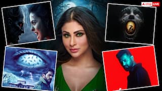 Year Ender 2025: साल भर चला डर का सिलसिला, इन हॉरर फिल्मों ने बॉक्स ऑफिस पर किया धमाल