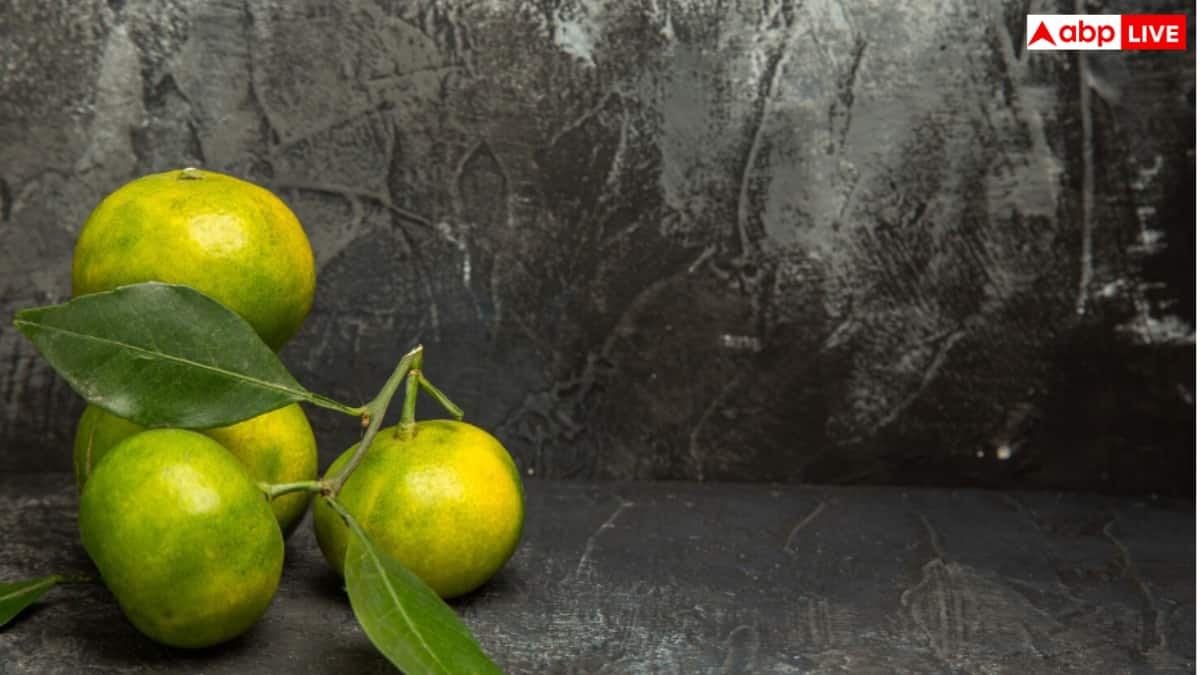 Lemon Peel Benefits: नींबू के छिलके में भी छुपे हैं तमाम हेल्थ बेनिफिट्स, ऐसे करें अपनी डाइट में शामिल