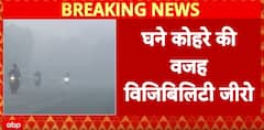 North India fog: Dense fog grips North India, Visibility Drops To Near Zero