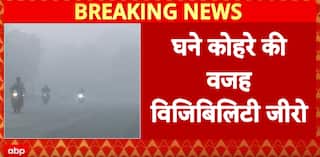 North India fog: Dense fog grips North India, Visibility Drops To Near Zero