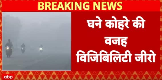 North India fog: Dense fog grips North India, Visibility Drops To Near Zero