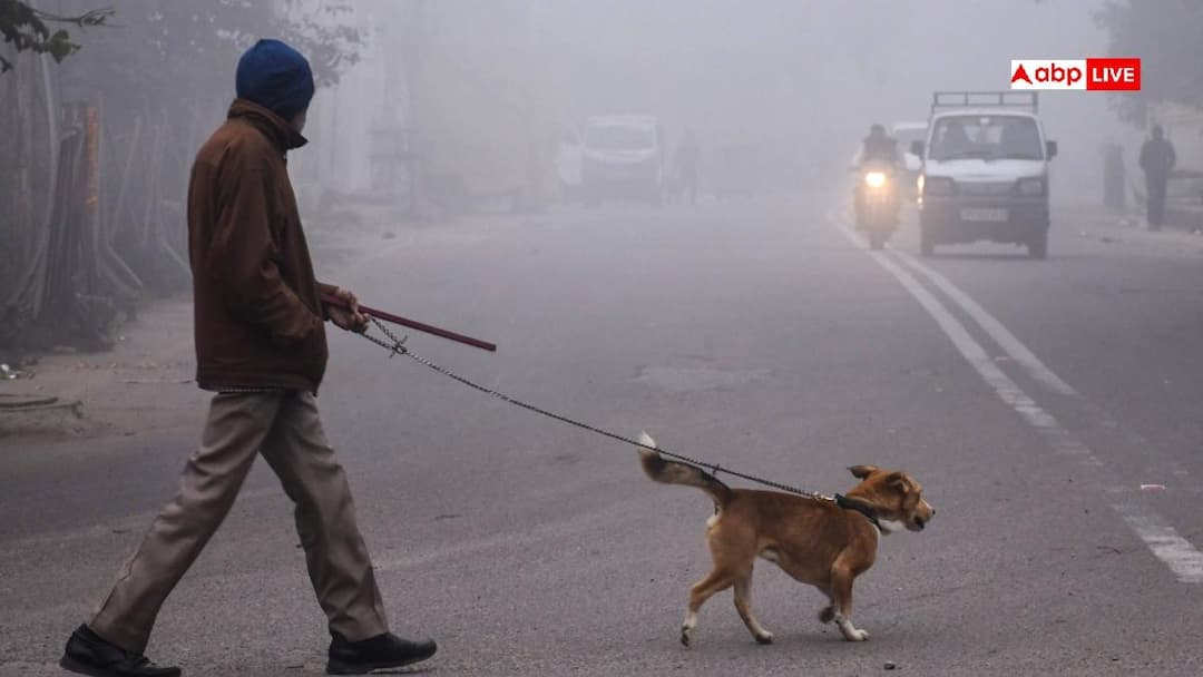 bihar Weather Today severe cold conditions amid AQI increase Cold Wave Alert ANN Bihar Weather: कड़ाके की ठंड के साथ-साथ बिगड़ी बिहार की हवा, इस स्तर पर पहुंचा AQI
