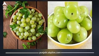 ਸਰਦੀਆਂ ਦਾ ਸੁਪਰਫੂਡ: ਇਹ ਵਾਲਾ ਖੱਟਾ ਫਲ ਬੈਡ ਕੋਲੈਸਟ੍ਰੋਲ ਘਟਾਏ, ਸਕਿਨ ਤੇ ਵਾਲਾਂ ਲਈ ਫਾਇਦੇਮੰਦ