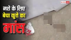 बिहार: मोतिहारी में तो गजबे हो गया! जंगली खरगोश बताकर कुत्ते का मांस 1000 रुपये किलो बेचा