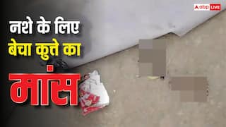 बिहार: मोतिहारी में तो गजबे हो गया! जंगली खरगोश बताकर कुत्ते का मांस 1000 रुपये किलो बेचा