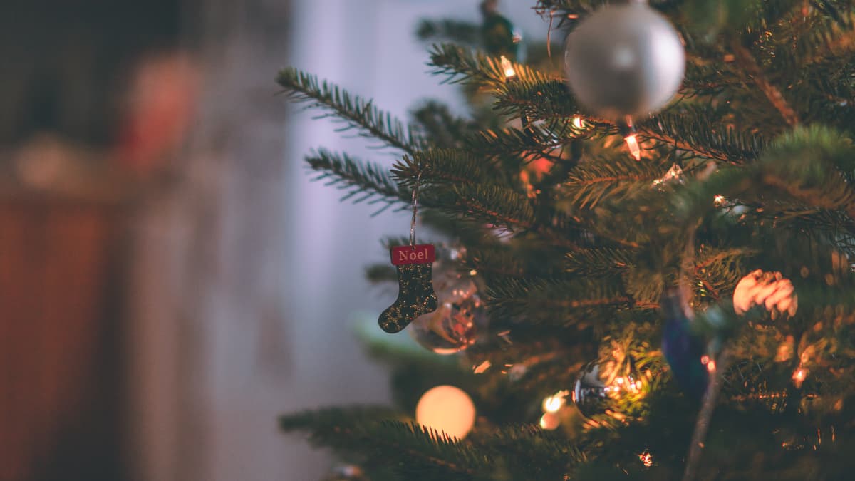 Merry Christmas 2025: Share These Messages And Wishes To Your Family And Friends