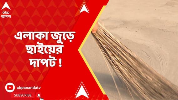 Diamond Harbour : এলাকা জুড়ে ছাইয়ের দাপট, দূষণে 'প্রাণ ওষ্ঠাগত' ডায়মন্ডহারবারের নীলা গ্রামের বাসিন্দাদের একাংশের