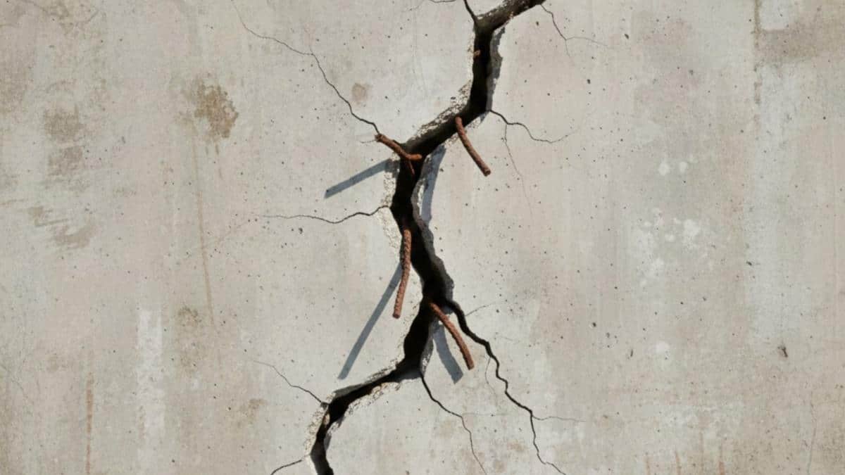 The Art of Baking: From Classic Bread to Artisan Pastries