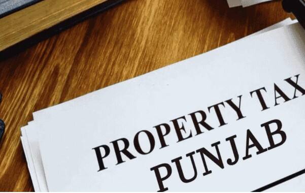 ਸਰਕਾਰ ਨੇ ਸਪੱਸ਼ਟ ਕੀਤਾ ਹੈ ਕਿ ਉਹ ਜਨਤਕ ਭਲਾਈ ਪ੍ਰੋਗਰਾਮਾਂ ਨੂੰ ਜਾਰੀ ਰੱਖਣ ਲਈ ਮਾਲੀਆ ਵਧਾਉਣ ਲਈ ਵਚਨਬੱਧ ਹੈ।