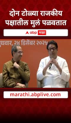 Raj Thackeray on BJP : दोन टोळ्या राजकीय पक्षातील मुलं पळवतात