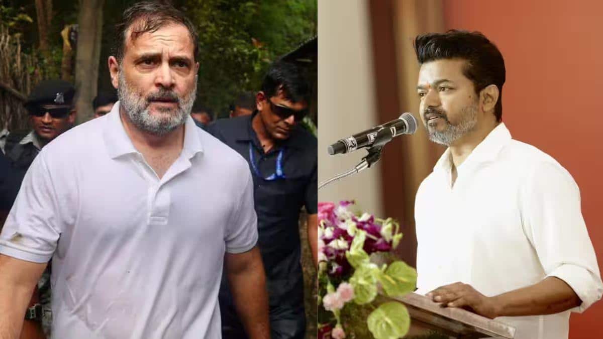 TVK Vijay: விஜய்க்கு முதல் ஆளாய் போன் அடித்த ராகுல் காந்தி.. என்ன சொன்னார்? போட்டுடைத்த ஆதவ் அர்ஜுனா