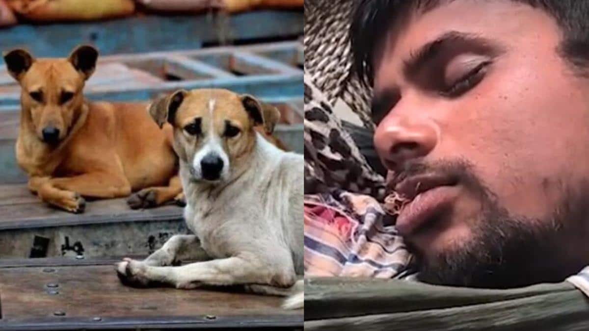 காலில் கடித்த தெரு நாய்.. அடுத்த சில மணி நேரத்தில் நாயாக மாறிய இளைஞர்!