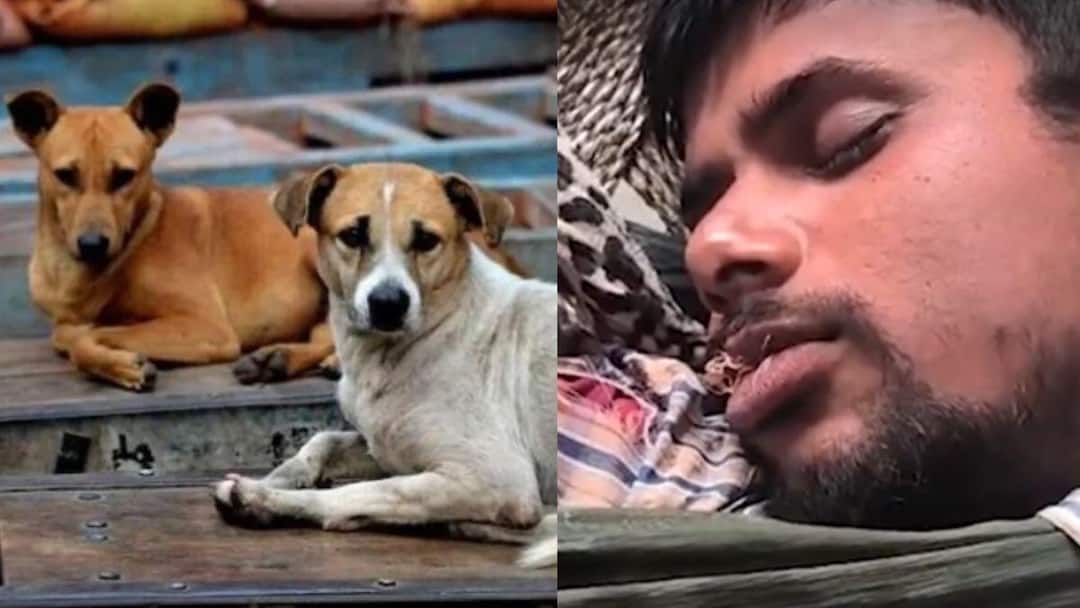 காலில் கடித்த தெரு நாய்.. அடுத்த சில மணி நேரத்தில் நாயாக மாறிய இளைஞர்!