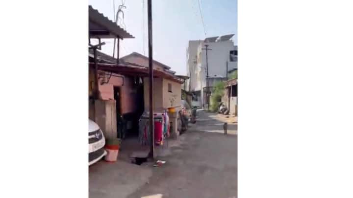 कोल्हापुरात बिबट्या, गवा यांनी धुमाकूळ घातल्याचा प्रकार सुरूच असताना आता कोल्हा आला रे कोल्हा आला म्हणायची सुद्धा वेळ कोल्हापूरकरांवर आली.