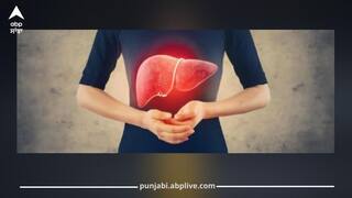 ਫੈਟੀ ਲਿਵਰ ਵਾਲਿਆਂ ਲਈ ਸਿਹਤਮੰਦ ਨਾਸ਼ਤਾ: ਲਿਵਰ ਦੀ ਚਰਬੀ ਘਟਾਉਣ ਵਿੱਚ ਮਦਦਗਾਰ