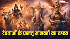 पौराणिक कथाओं में पालतू जानवरों का रहस्य: गणेश का चूहा, हनुमान का वानर रूप समेत 10 दिव्य भूमिका!