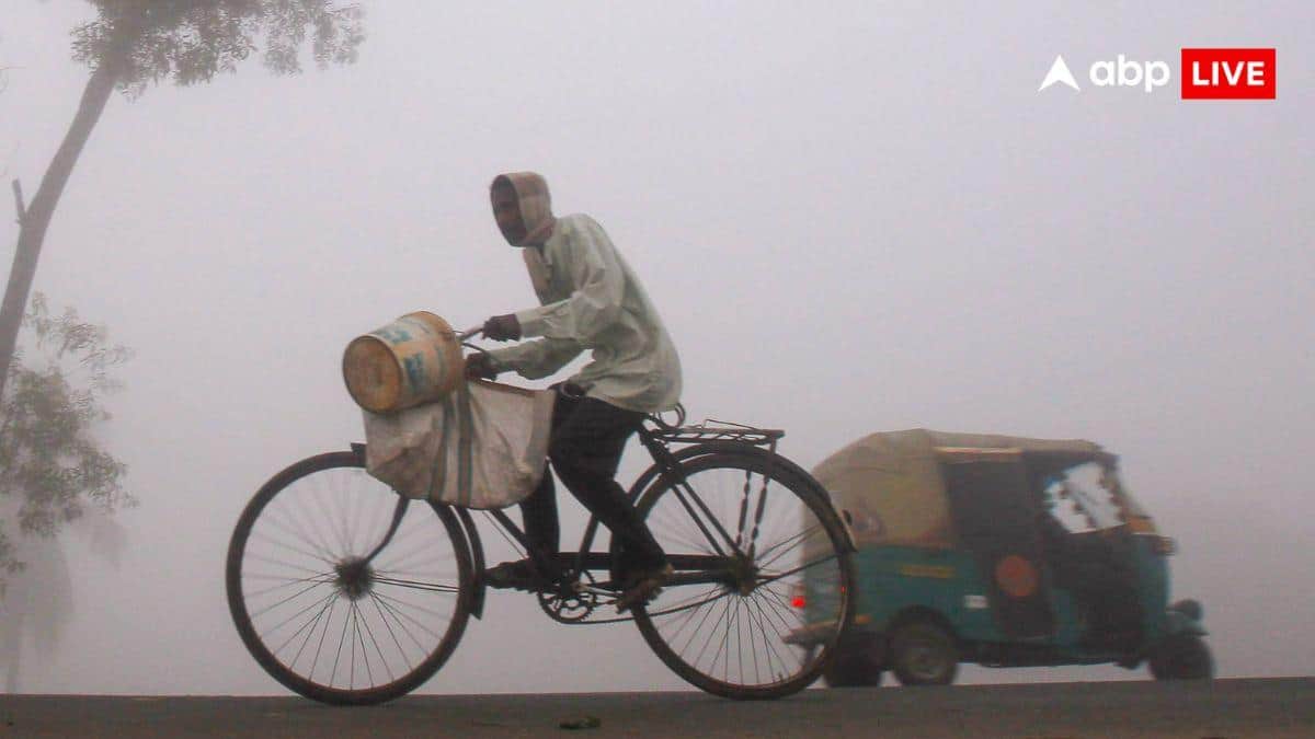 घना कोहरा, पारा डाउन...4 राज्यों में भारी बारिश की चेतावनी, जानें यूपी-दिल्ली और बिहार में कैसा रहेगा मौसम