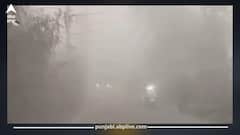 Punjab Weather Today: ਪੰਜਾਬ ‘ਚ ਅੱਜ ਤੋਂ ਸੰਘਣਾ ਕੋਹਰਾ ਤੇ ਸਿਆਲ ਦਾ ਅਲਰਟ: ਵਿਜ਼ੀਬਿਲਟੀ ਬਿਲਕੁਲ ਜ਼ੀਰੋ, ਤੇਜ਼ੀ ਨਾਲ ਡਿੱਗ ਰਿਹਾ ਪਾਰਾ, ਲੋਕ ਰਹਿਣ ਸਾਵਧਾਨ!