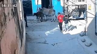 ਚੰਡੀਗੜ੍ਹ ਤੋਂ ਲਾਪਤਾ ਹੋਏ ਦੋਵੇਂ ਬੱਚੇ UP 'ਚ ਮਿਲੇ, ਜਾਣੋ ਕਿਵੇਂ ਮਿਲੀ ਜਾਣਕਾਰੀ? ਘਰ ਦੇ ਬਾਹਰ ਖੇਡਦੇ ਸਮੇਂ ਹੋਏ ਸੀ ਗਾਇਬ...