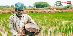 सिर्फ किसान निधि नहीं, अन्नदाता के लिए इतनी योजनाएं चलाती है सरकार, जानें किसमें क्या फायदा?