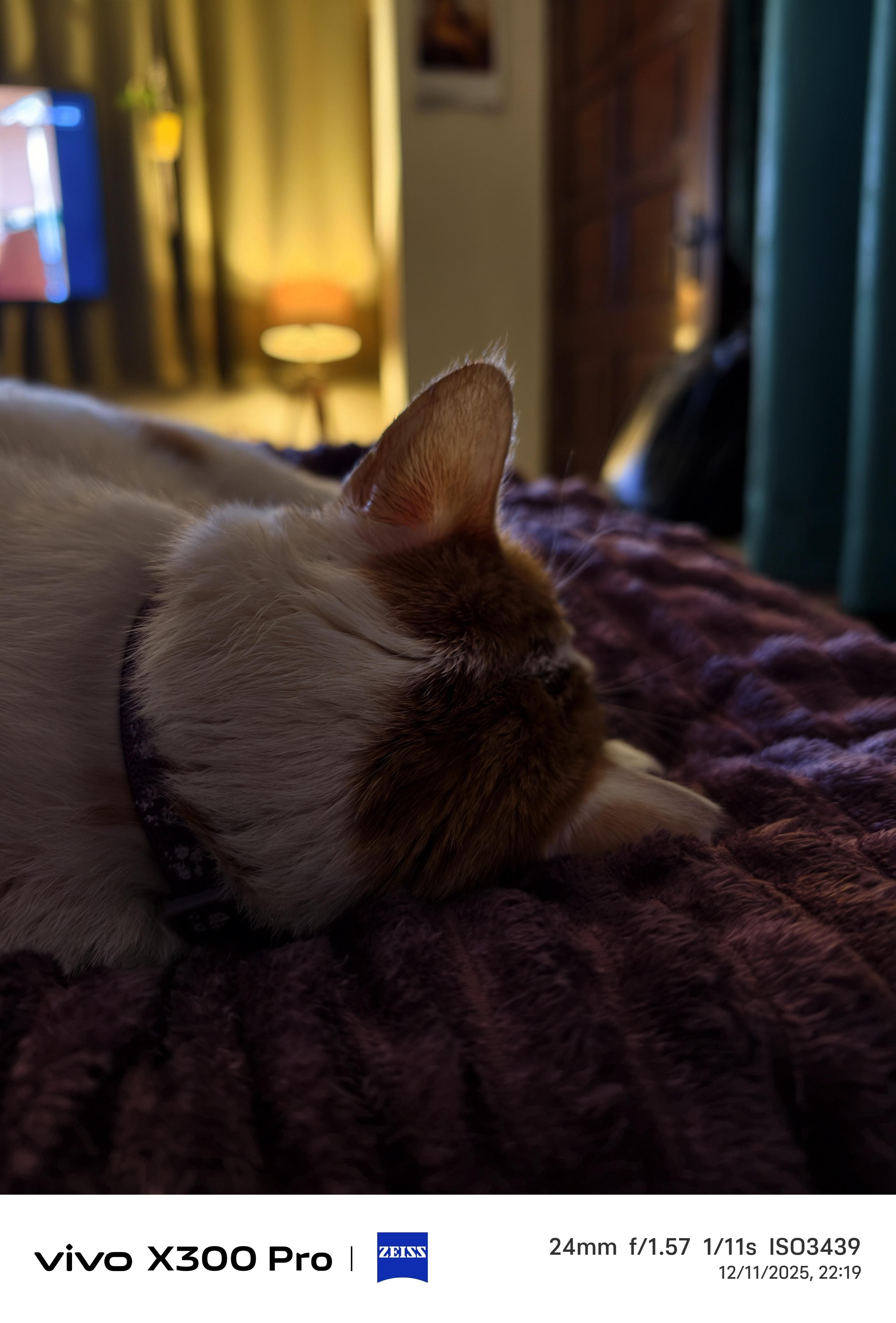 Gadgets Review | Vivo X300 Pro: This Isn't A Phone. This Is A Camera With A SIM Card