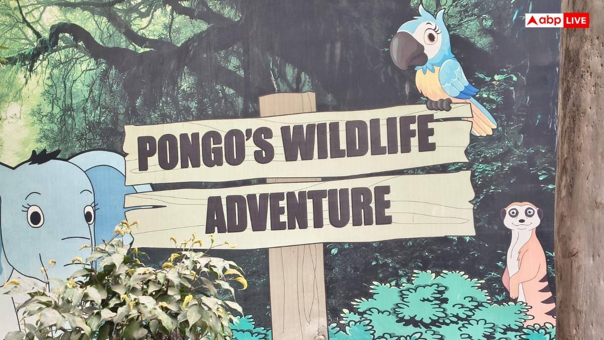 New Year 2026: पिकनिक के साथ-साथ नए साल का जश्न, बरेली में घूमने के लिए ये जगहें हो सकती बेहतरीन ऑप्शन