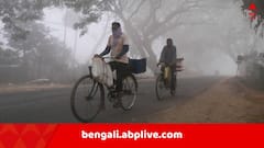 ঘনকুয়াশা দক্ষিণ ২৪ পরগনা, দৃশ্যমানতা নেমে এল ৫০-৭০ মিটারে ! ব্যাহত জনজীবন, ফেরি পরিষেবায় সতর্কতা জারি