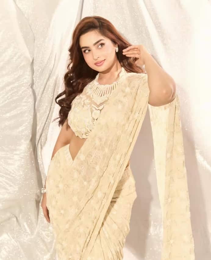 Ayesha Khan Career: બોલિવૂડ એક્ટ્રેસ આયેશા ખાન આજે સોશિયલ મીડિયા પર એક જાણીતો ચહેરો બની ગઈ છે. લોકો તેની સુંદરતાથી મોહિત છે. અભિનેત્રી આયેશા ખાન  સોશિયલ મીડિયા પર ચર્ચામા રહે છે. ચાહકો તેની દરેક સ્ટાઈલને પસંદ કરે છે. બિગ બોસમાં આવ્યા પછી અભિનેત્રીએ વ્યાપક ધ્યાન ખેંચ્યું અને  હવે તે ફિલ્મોમાં પણ ધૂમ મચાવી રહી છે.