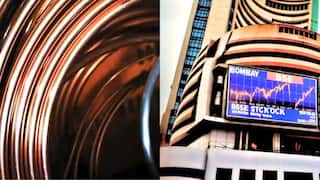 Best Metal To Buy : সোনা বা রুপো নয়, বাজারের রাজা হতে চলেছে এই ধাতু, এই বছর দিয়েছে ৩৬% রিটার্ন