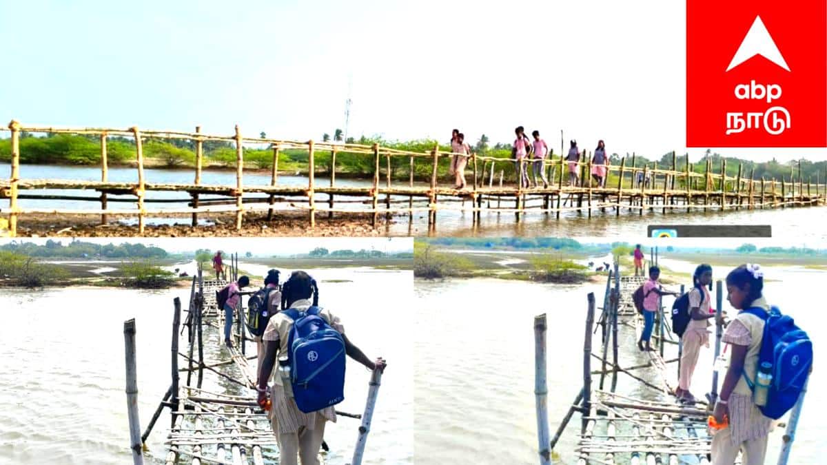 ABP NADU IMPACT: ஏபிபி நாடு செய்தி எதிரொலி: சேதமடைந்த மூங்கில் பாலத்திற்கு விடிவுகாலம் - கட்டப்பட்ட புதிய பாலம்.. !