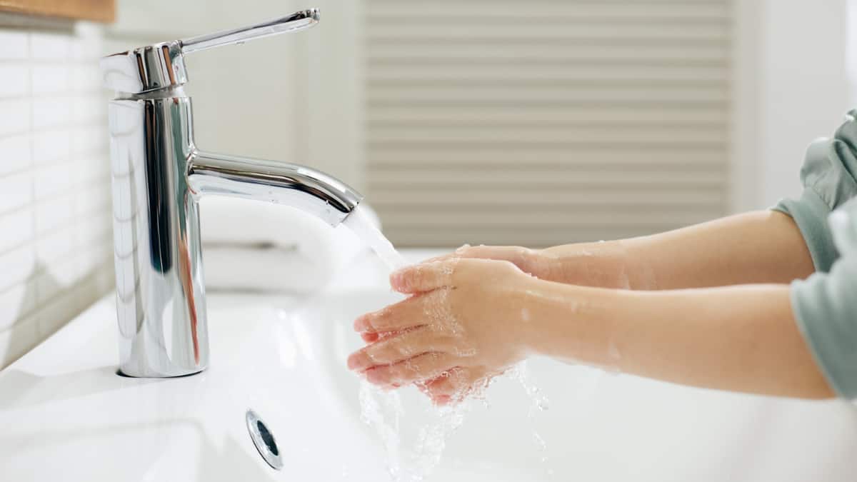 The Everyday Immunity Formula: 6 Daily Habits To Strengthen Your Immune System