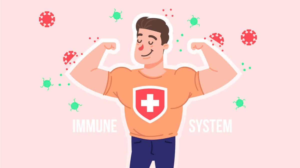 The Everyday Immunity Formula: 6 Daily Habits To Strengthen Your Immune System