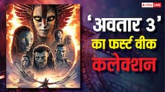 'अवतार फायर एंड ऐश' एक हफ्ते में बनी नंबर 1 फिल्म! ब्रैड पिट की फिल्म का रिकॉर्ड टूटा