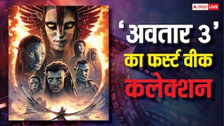 Box Office: 'अवतार फायर एंड ऐश' एक हफ्ते में बनी नंबर 1 फिल्म! ब्रैड पिट की फिल्म का रिकॉर्ड टूटा